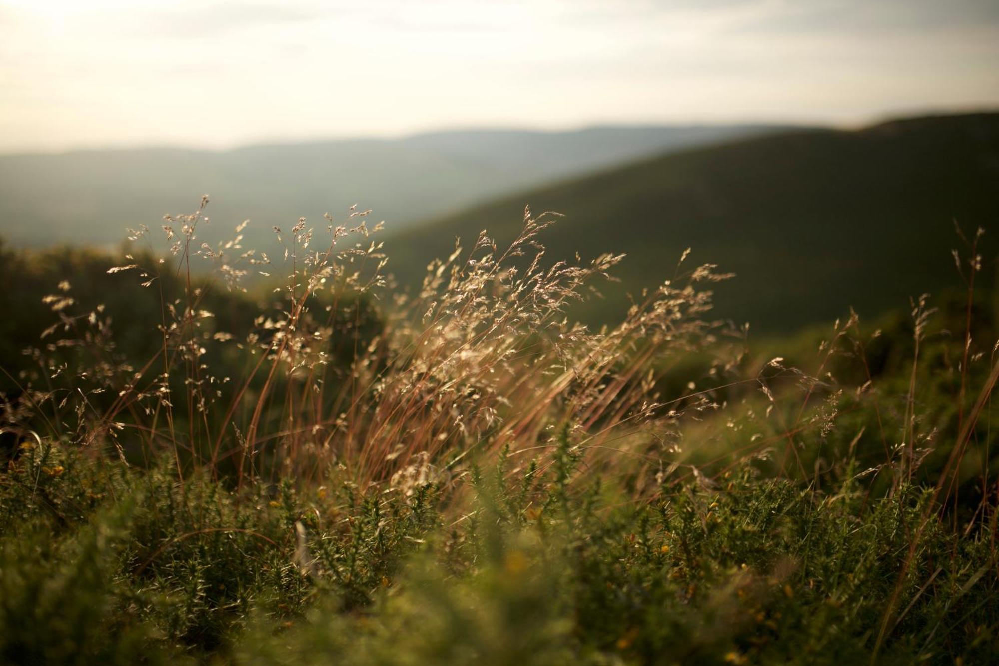 Two Unique Cabins Wrapped In Beautiful Welsh Scenery Presteigne Εξωτερικό φωτογραφία